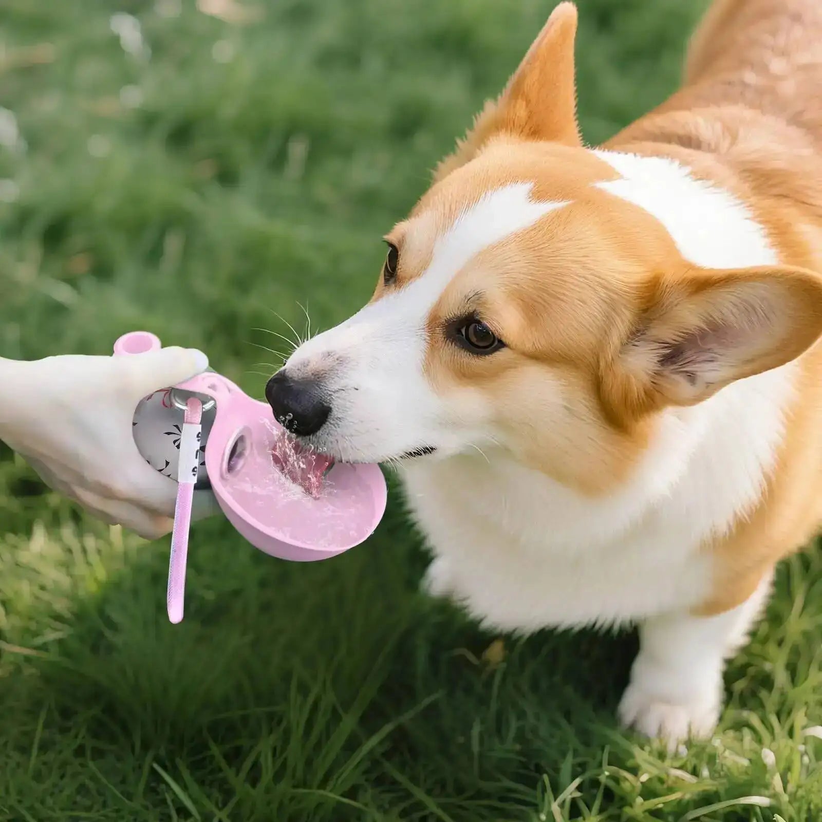 Portable Pet Water Bottle